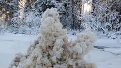 Orimattilan Virenojan Myllykoski 