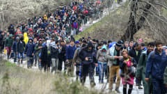 Tuhansia pakolaisia kävelee kreikkalaisen Idomenin kylän leiriltä kohti Makedonian rajaa 14. maaliskuuta.
