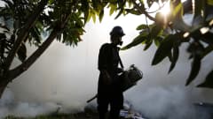 Terveysviranomaiset torjuivat denguekuumeen ja zikaviruksen leviämistä asuinalueella Banda Acehissa, Indonesiassa 1. syyskuuta 2016. 