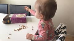 Vauva tavoittelee sormiruokaa
