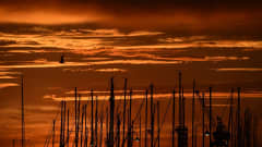 Oranssinpunainen auringonnousu veneiden mastojen takana. 