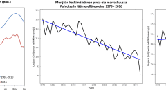 Kuvaajia merijään määrästä maailmassa