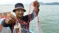 Kalastaja Sompol Muakpradab on tyytyväinen pienestäkin katkarapusaaliista.