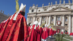 Kardinaalit osallistuivat palmusunnuntain messuun 9. huhtikuuta.