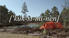 Kuvakaappaus FRSU:n videosta.