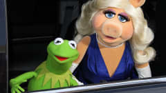Kermit ja Miss Piggy Muppets Most Wanted -elokuvan ensi-illassa Hollywoodissa 11. maaliskuuta 2014. 