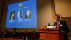 Lääketieteen Nobel-palkinnon jakavat Jeffrey C. Hall (vas.), Michael Rosbash (kesk.) ja Michael W. Young (oik.).