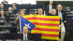 Kansallismielisten ryhmien europarlamentaarikot osoittivat mieltään Katalonian puolesta Euroopan parlamentissa.