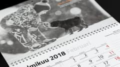 Helmikuun kalenteriaukeama