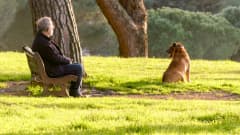 mies ja koira puistossa