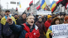 Joukko mielenosoittajia kulkee Kiovan kadulla. Joukko kantaa Ukrainan lippuja ja Ukrainan toisen maailmansodan aikaisten nationalistitaistelijoiden punamustia lippuja. Etualalla nainen huutaa ja pui nyrkkiä. Kuvan oikeassa reunassa kävelee nainen, jonka kyltissä lukee "Freedom Saakashvili".