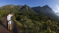 Vuoristometsää Etelä-Afrikan Kapkaupungissa. Toukokuu 2016.