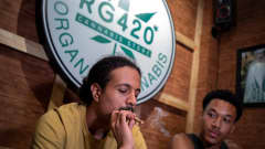 Kannabis houkuttelee matkaajia Thaimaahan