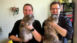 pieni teini perseestä porno