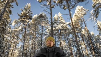 Ari-Pekka Auvinen ihailee Sanginjoella metsää