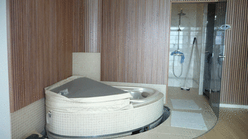 Kuvassa Villa Seniorin kylpyhuone