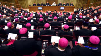 Paavi johti piispojen kokousta Vatikaanissa.