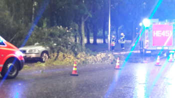 Oulunkyläntiellä Helsingissä puu kaatunut auton päälle.