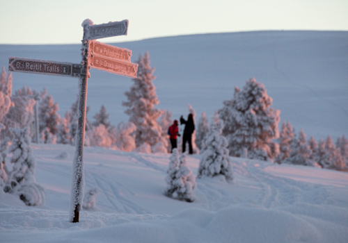 Hollantinen turisti kaatui pulkkamäessä – vaatii liki 40 000 euron korvauksia, koska ei voinut leikata edes juustoa