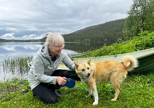 Puutiaiset leviävät Lapin tuntureille – Levin kupeessa asuva Maritta Lastikka löysi Pimu-koirasta seitsemän punkkia
