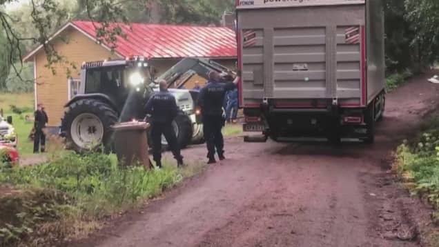 Mursun matka Korkeasaaren villieläinsairaalaan alkoi