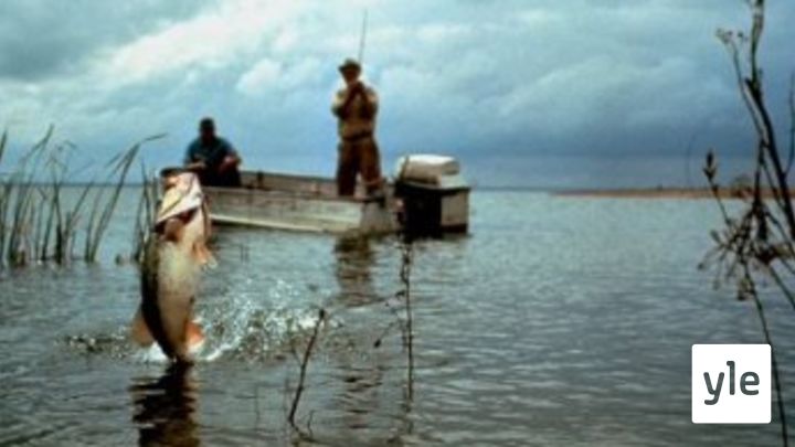 Ennen kalastettiin ruokaa pöytään, nyt kalastellaan elämyksiä