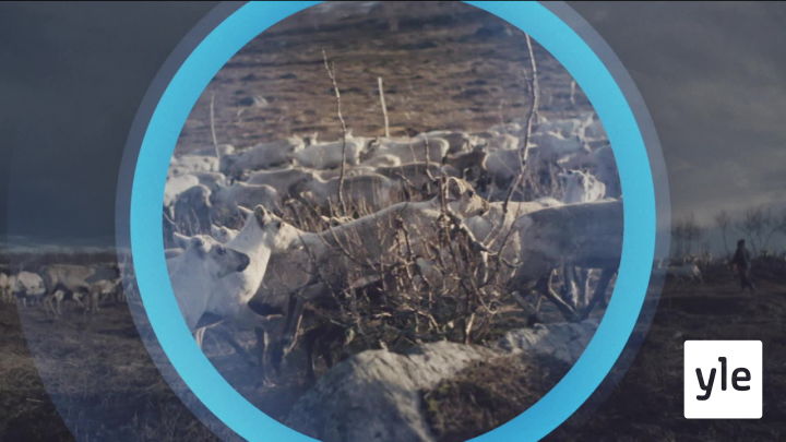 Oddasat: 02.12.2020 22.00