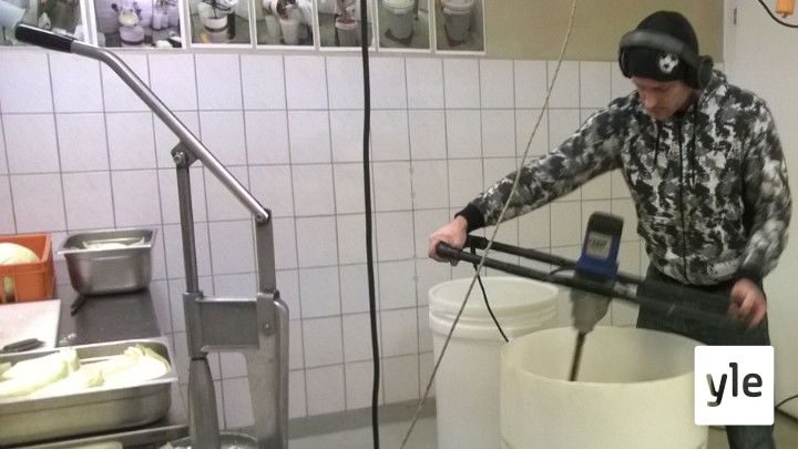 Taustapeili