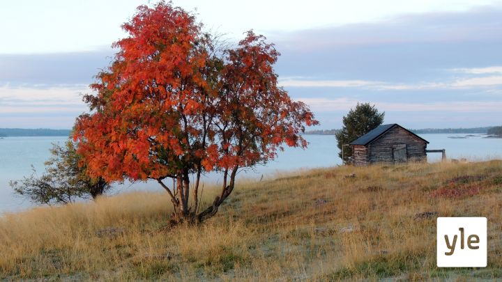Anaras vuärkkä (Sápmi)
