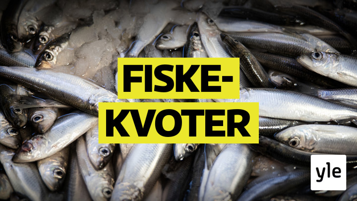 Näin myytiin Suomen kalavedet: 11.05.2020 00.01