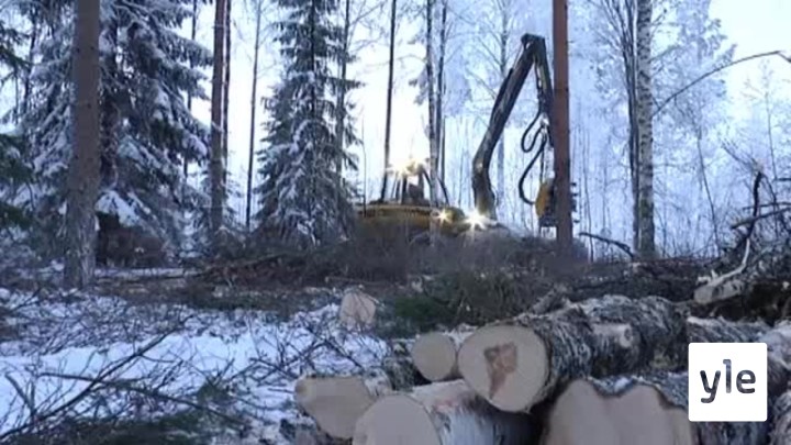 Irtiotto oravanpyörästä: 30.07.2020 06.00