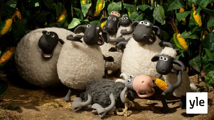 Rakkien revanssi (S): 08.08.2020 09.08