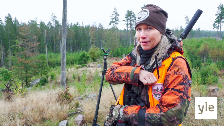 Metsäkauriin ajometsästys: 26.08.2020 06.00