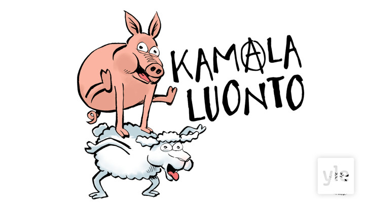 Kamala luonto