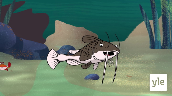 Monnikalat (S): 09.09.2020 06.00