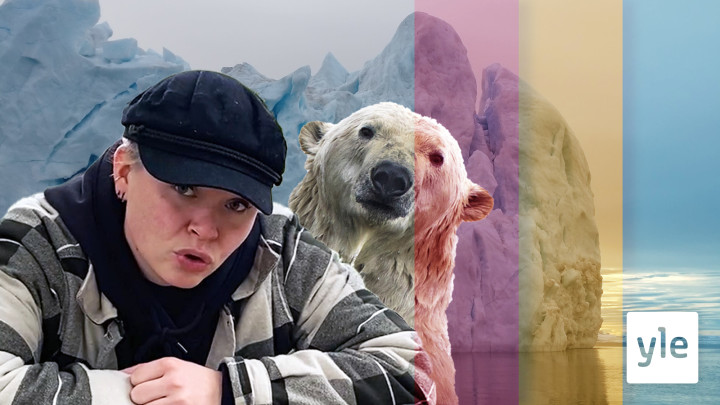 Var ska isbjörnarna bo när isen smälter?: 29.09.2020 16.29