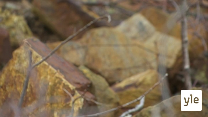 Novosti Yle: 30.09.2020 16.55