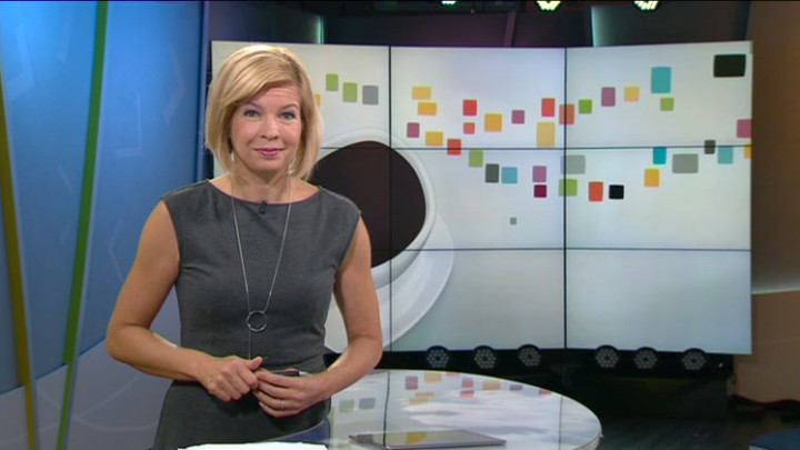 Liputuspäivä EU:n puolesta (S)