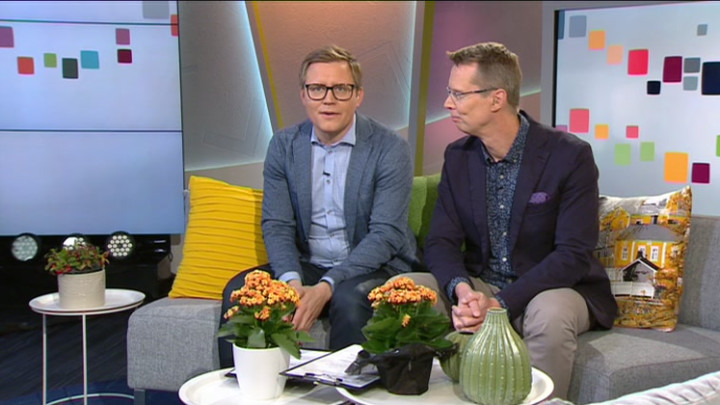 Tänään otsikoissa