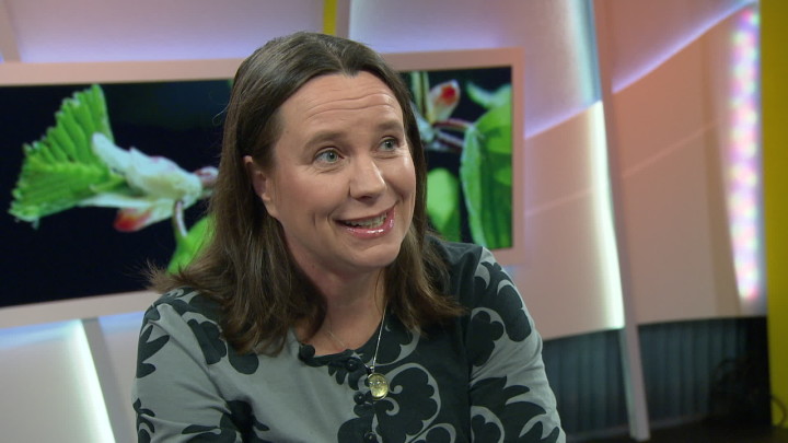 Yle Luonto seuraa kevään etenemistä