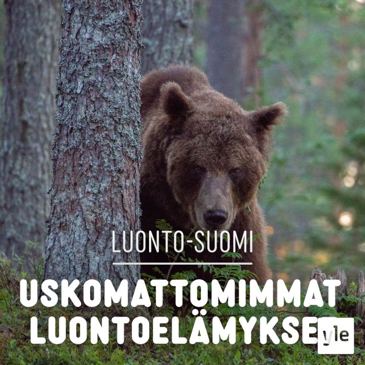 Uskomattomimmat luontoelämykset