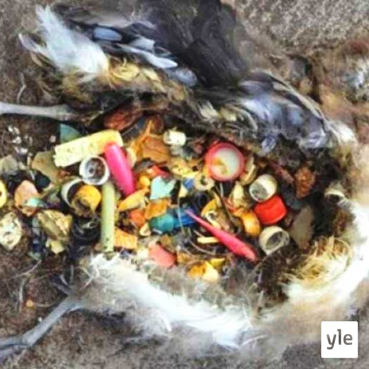 Ajankohtainen Ykkönen