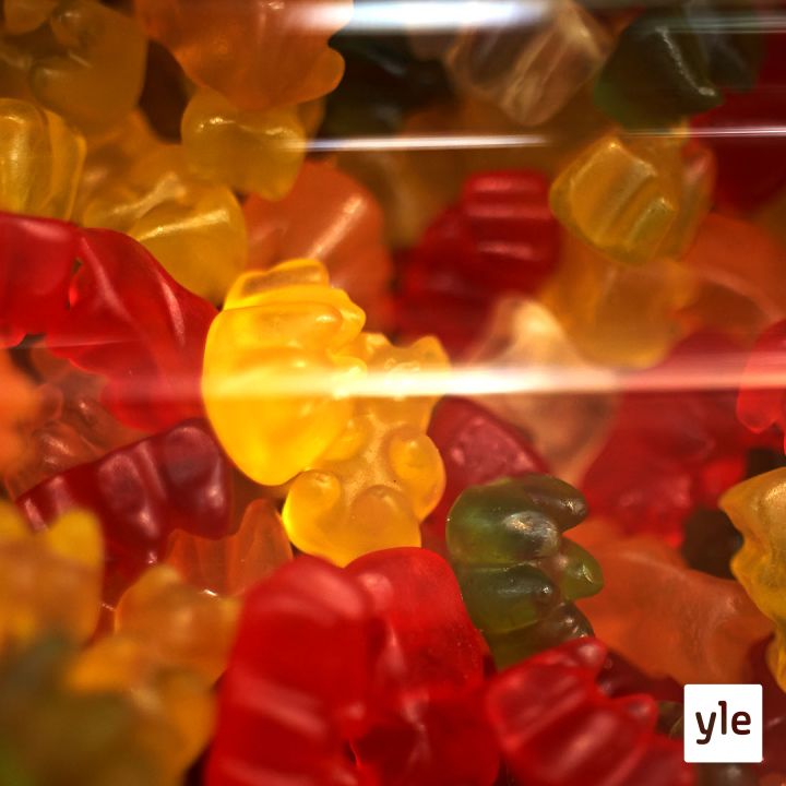 Luita, ötököitä ja ötököitä