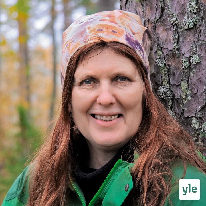 Työkaluja elpymiseen 3/3 Metsäterapian harjoituksilla voi avartaa näköaloja, vähentää kireyttä ja kuormitusta Työkaluja elpymiseen 3/3 Metsäterapian harjoituksilla voi avartaa näköaloja, vähentää kireyttä ja kuormitusta