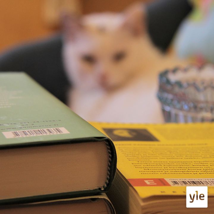 Työkaluja viihtyisyyteen 1/2 Tavaroiden raivaus ja fyysinen tekeminen avartaa ajatuksia ja epävarma olokin voi helpottua Työkaluja viihtyisyyteen 1/2 Tavaroiden raivaus ja fyysinen tekeminen avartaa ajatuksia ja epävarma olokin voi helpottua