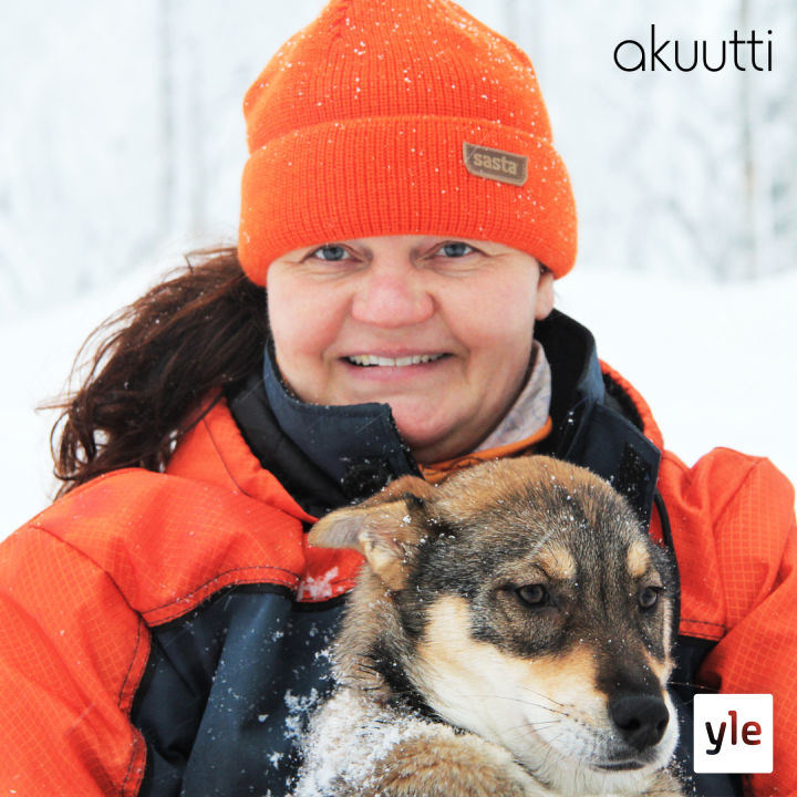 Huskyfarmillani elän todeksi haavettani, vaikka ilman toista työtä tämä ei pyörisi, sanoo Leila Tuononen Huskyfarmillani elän todeksi haavettani, vaikka ilman toista työtä tämä ei pyörisi, sanoo Leila Tuononen