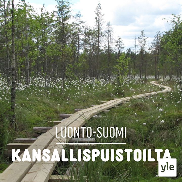 Kansallispuistoilta
