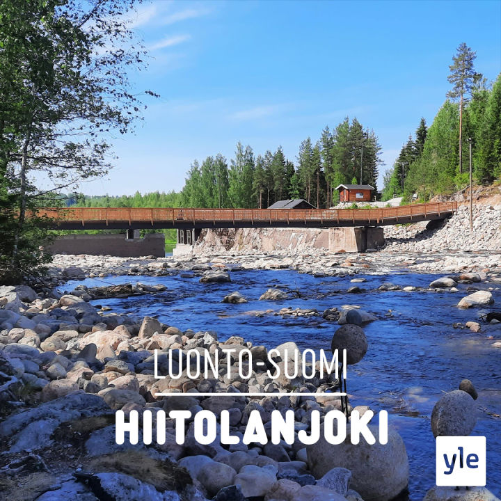 Hiitolanjoki