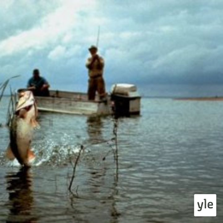 Ennen kalastettiin ruokaa pöytään, nyt kalastellaan elämyksiä