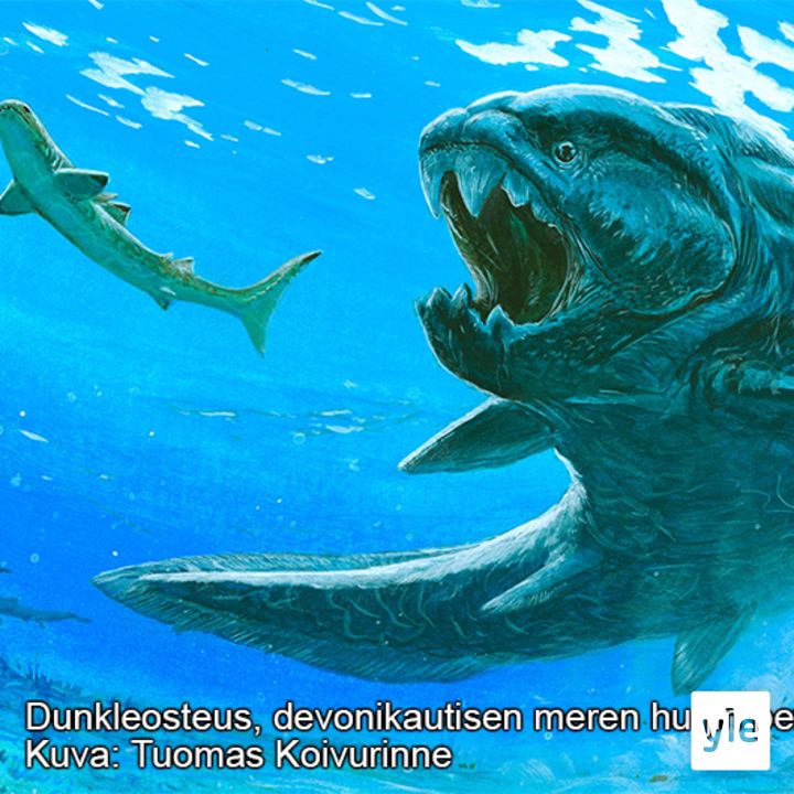 Aspekti: Aikamatka elämän historiaan!